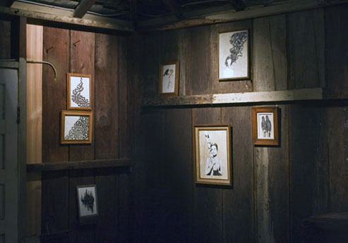 Opening night installation view